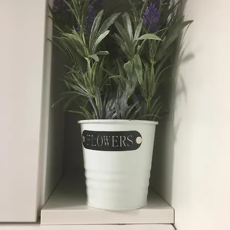 H23 Appartement