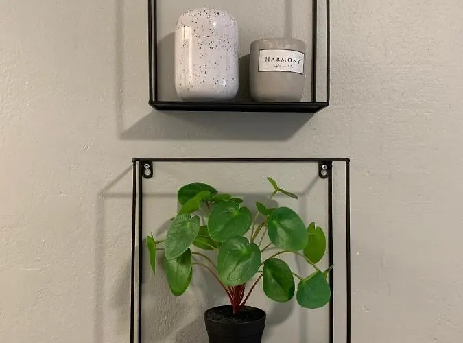 Starhomes Hallituskatu 23 *